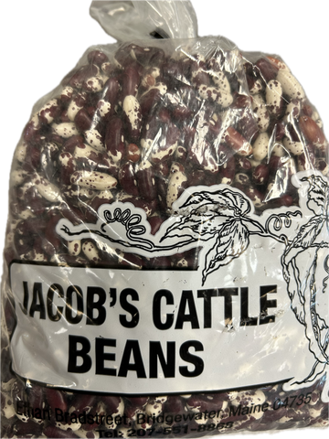 Maine Jacob's Cattle Beans
