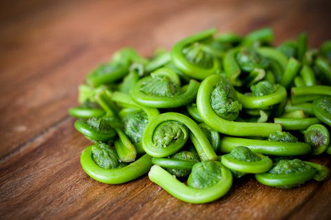 Fresh Maine Fiddleheads Order Now for Late May Delivery!
